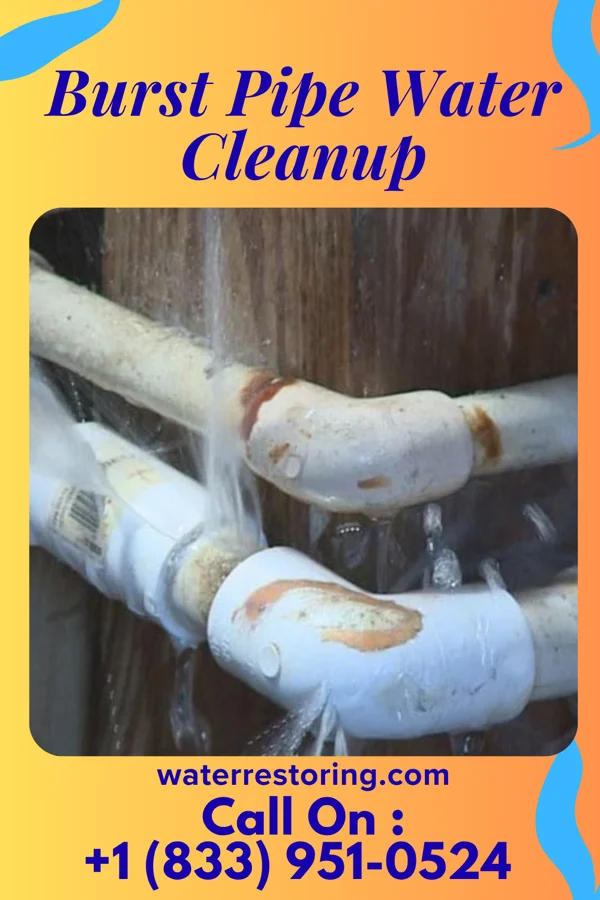 Burst Pipe Water Cleanup in Wampum, PA