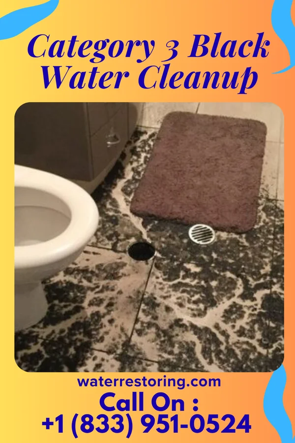 Category 3 Black Water Cleanup in Wampum, PA