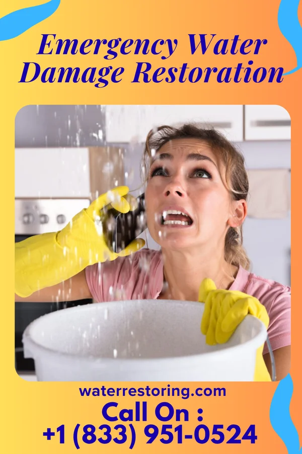 Emergency Water Damage Restoration in Wampum, PA