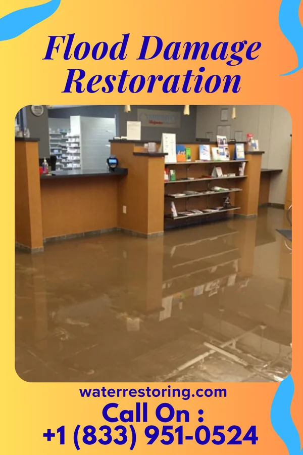 Flood Damage Restoration in Wampum, PA