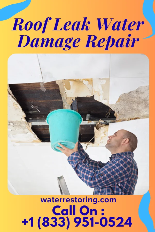 Roof Leak Water Damage Repair in Wampum, PA