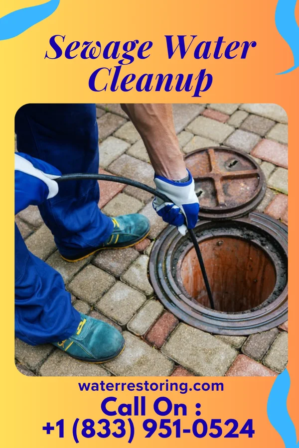 Sewage Water Cleanup in Wampum, PA