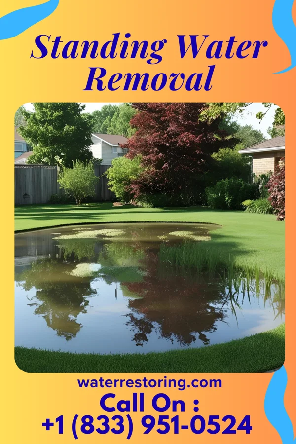 Standing Water Removal in Wampum, PA